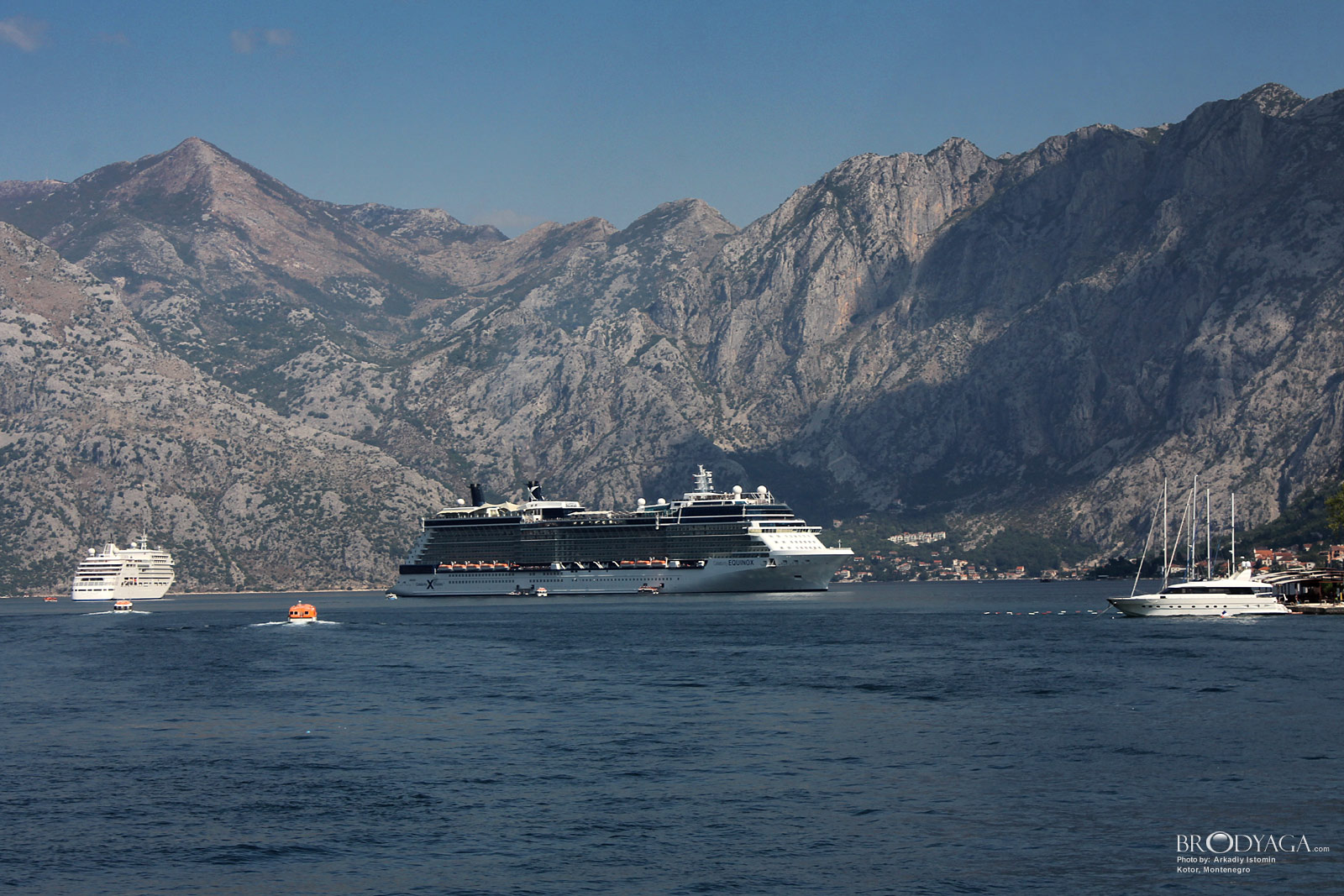 Kotor